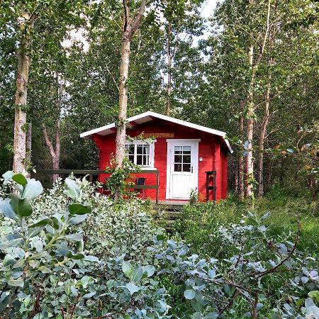 Bakkakot 3 Cozy Cabin In The Woods Akureyri Dış mekan fotoğraf