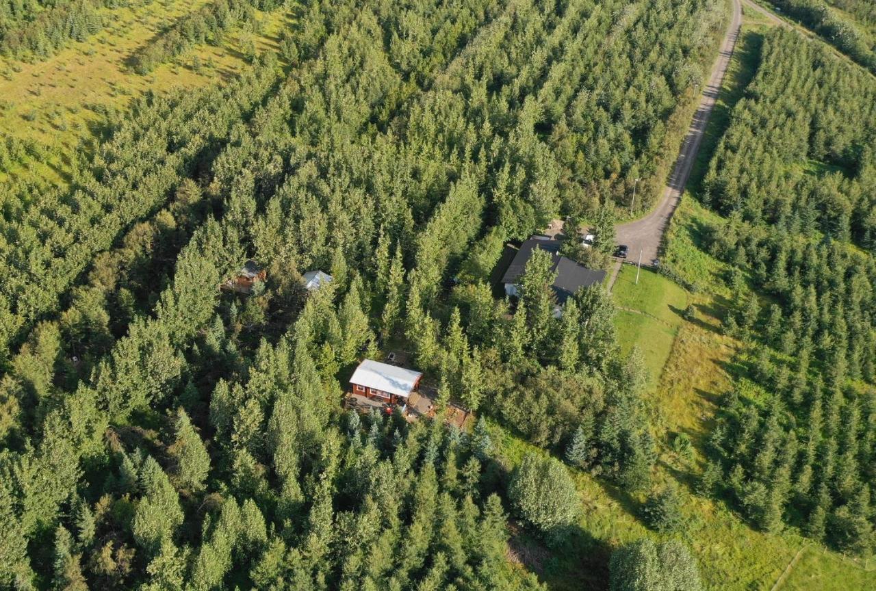 Bakkakot 3 Cozy Cabin In The Woods Akureyri Dış mekan fotoğraf
