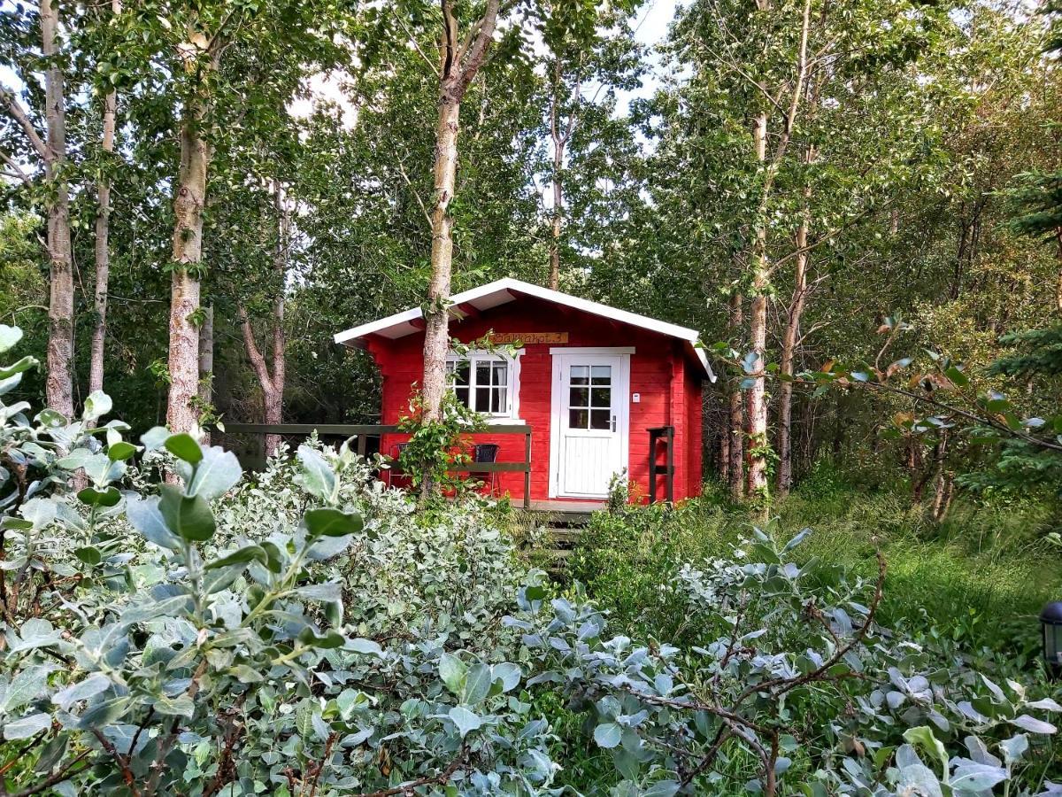 Bakkakot 3 Cozy Cabin In The Woods Akureyri Dış mekan fotoğraf