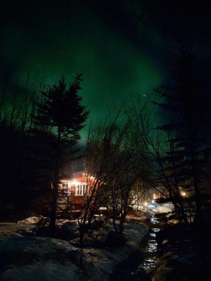 Bakkakot 3 Cozy Cabin In The Woods Akureyri Dış mekan fotoğraf